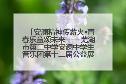 安澜精神传薪火•青春乐章颂未来——芜湖市第二中学安澜中学生管乐团第十二届公益展演圆满举行