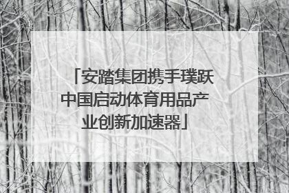 安踏集团携手璞跃中国启动体育用品产业创新加速器