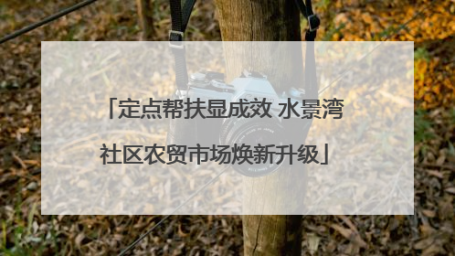 定点帮扶显成效 水景湾社区农贸市场焕新升级