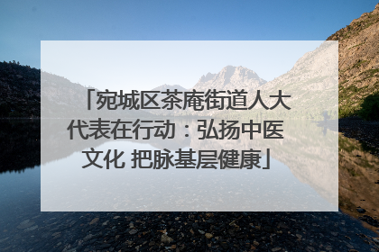 宛城区茶庵街道人大代表在行动：弘扬中医文化 把脉基层健康
