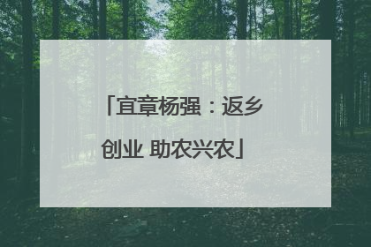 宜章杨强：返乡创业 助农兴农