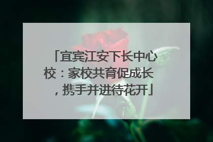 宜宾江安下长中心校：家校共育促成长，携手并进待花开