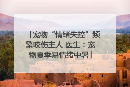 宠物“情绪失控”频繁咬伤主人 医生：宠物夏季易情绪中暑