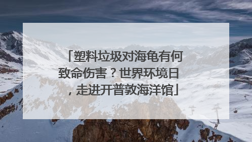 塑料垃圾对海龟有何致命伤害？世界环境日，走进开普敦海洋馆