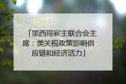 墨西哥雇主联合会主席：美关税政策影响供应链和经济活力
