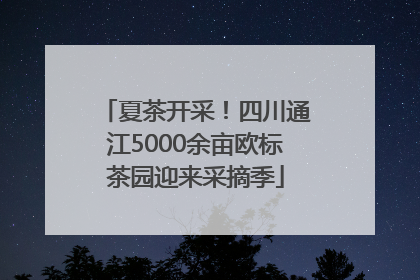 夏茶开采！四川通江5000余亩欧标茶园迎来采摘季