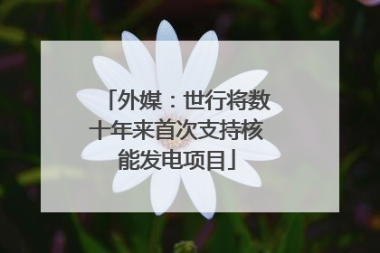 外媒：世行将数十年来首次支持核能发电项目