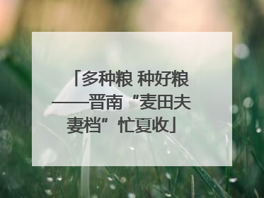 多种粮 种好粮——晋南“麦田夫妻档”忙夏收