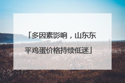多因素影响，山东东平鸡蛋价格持续低迷