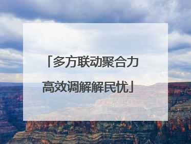 多方联动聚合力 高效调解解民忧
