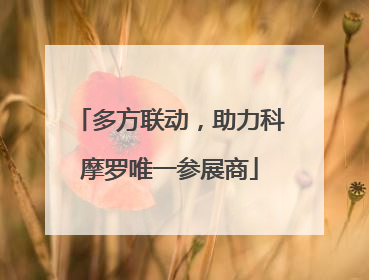 多方联动，助力科摩罗唯一参展商