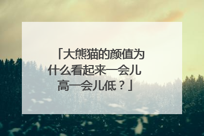 大熊猫的颜值为什么看起来一会儿高一会儿低？