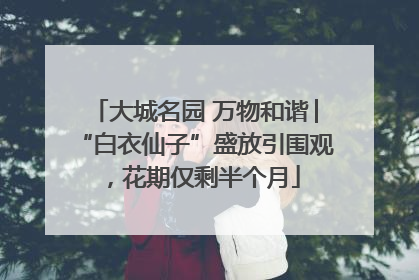 大城名园 万物和谐│“白衣仙子”盛放引围观，花期仅剩半个月