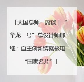 大国总师一席谈｜“华龙一号”总设计师邢继：自主创新铸就核电“国家名片”