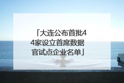 大连公布首批44家设立首席数据官试点企业名单
