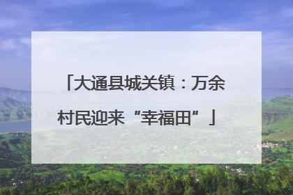 大通县城关镇：万余村民迎来“幸福田”