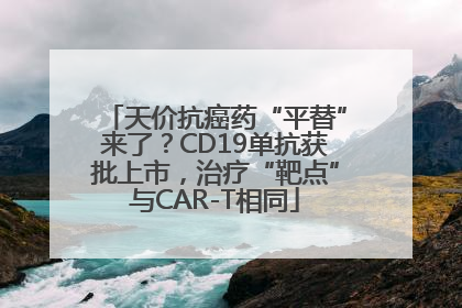 天价抗癌药“平替”来了？CD19单抗获批上市，治疗“靶点”与CAR-T相同