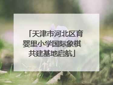 天津市河北区育婴里小学国际象棋共建基地启航