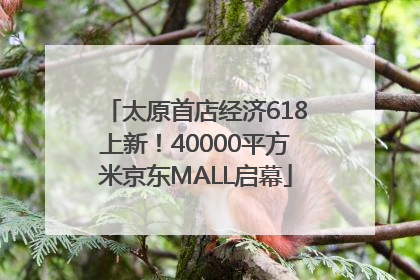 太原首店经济618上新！40000平方米京东MALL启幕