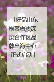 好品山东横琴粤澳深度合作区品牌出海中心正式启动