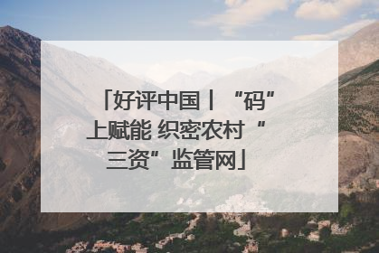 好评中国丨“码”上赋能 织密农村“三资”监管网