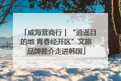 威海营商行｜“逍遥目的地 青春经开区”文旅品牌推介走进韩国