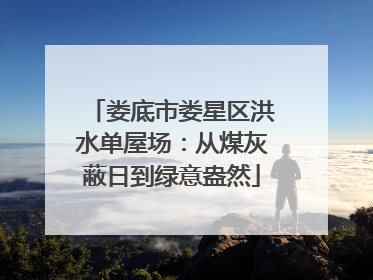 娄底市娄星区洪水单屋场：从煤灰蔽日到绿意盎然