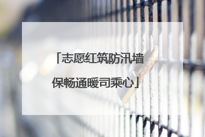 志愿红筑防汛墙 保畅通暖司乘心