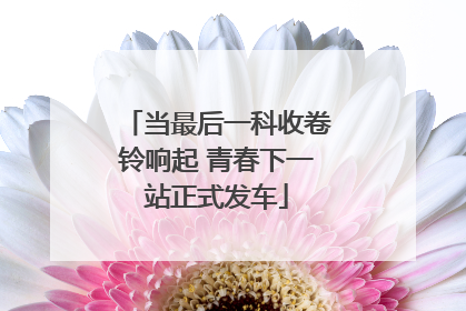 当最后一科收卷铃响起 青春下一站正式发车