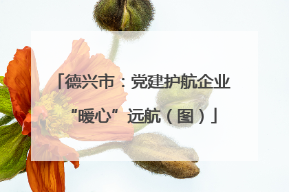 德兴市：党建护航企业“暖心”远航（图）