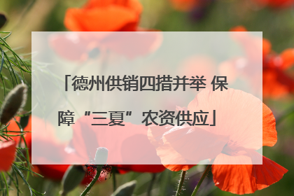 德州供销四措并举 保障“三夏”农资供应