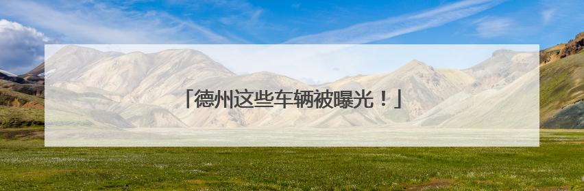 德州这些车辆被曝光！