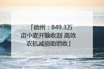 德州：849.3万亩小麦开镰收割 高效农机减损助增收