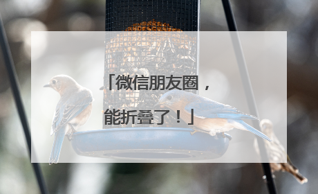 微信朋友圈，能折叠了！