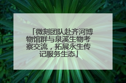 微刻团队赴齐河博物馆群与泉溪生物考察交流，拓展永生传记服务生态