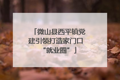 微山县西平镇党建引领打造家门口“就业圈”