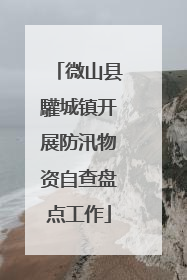 微山县驩城镇开展防汛物资自查盘点工作