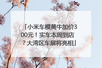 小米车模黄牛加价300元！实车本周到店？大湾区车展将亮相