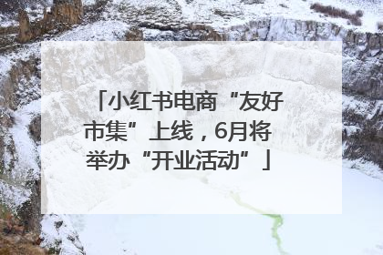 小红书电商“友好市集”上线，6月将举办“开业活动”