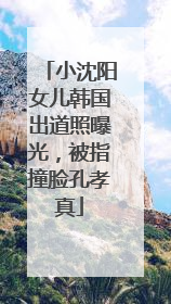 小沈阳女儿韩国出道照曝光，被指撞脸孔孝真