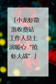 小龙虾散落收费站 工作人员上演暖心“抢虾大战”
