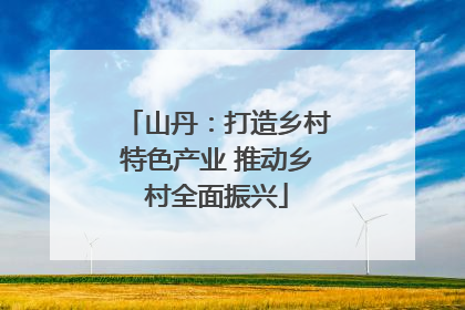 山丹：打造乡村特色产业 推动乡村全面振兴