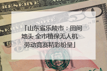 山东省乐陵市：田间地头 全市植保无人机劳动竞赛精彩纷呈