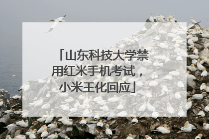 山东科技大学禁用红米手机考试，小米王化回应