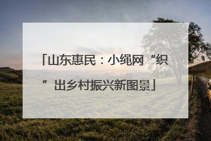 山东惠民：小绳网“织”出乡村振兴新图景