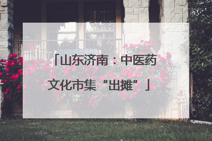 山东济南：中医药文化市集“出摊”