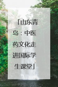 山东青岛：中医药文化走进国际学生课堂