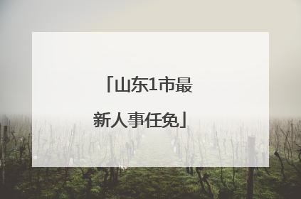山东1市最新人事任免
