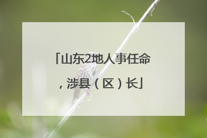 山东2地人事任命，涉县（区）长