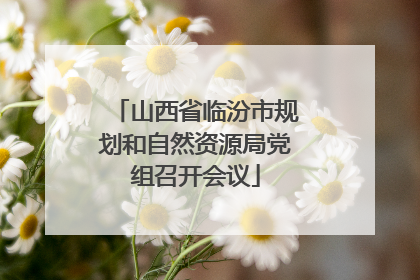 山西省临汾市规划和自然资源局党组召开会议